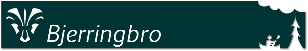 KFUM Bjerringbro